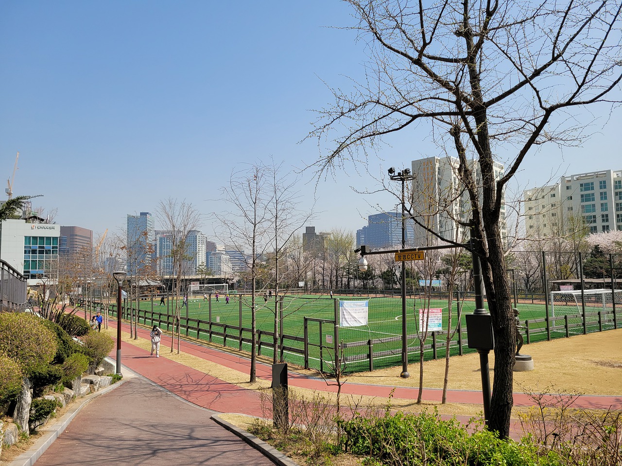 到泰瑞斯