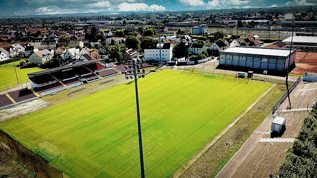 促进就业增 促进就业增