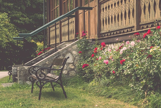 不可或缺的 不可或缺的