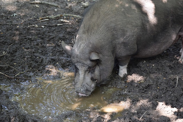 不得不重新 不得不重新