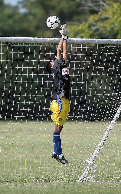 的赛事节奏 的赛事节奏