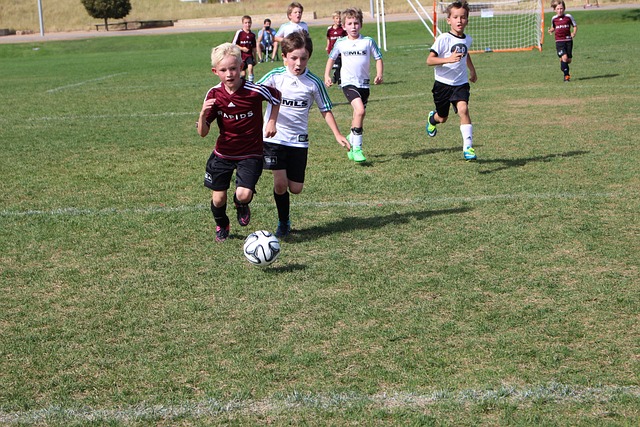 灰熊队通过 灰熊队通过