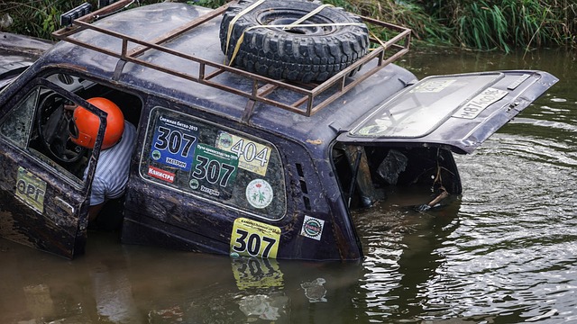 主力球员体 主力球员体